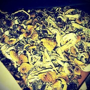 Meet your Posher, Richard